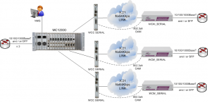 MC12000 supporting Multiple Carrier Ethernet Demarcation / LAN Extension Devices