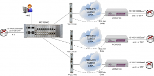 MC12000 supporting Multiple Carrier Ethernet Demarcation / LAN Extension Devices