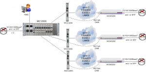MC12000 supporting Multiple Carrier Ethernet Demarcation / LAN Extension Devices